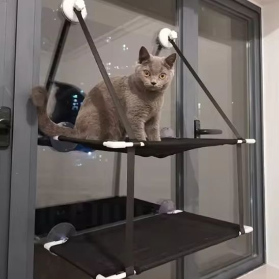 Hamac chat fenêtre | SunSpot - Mondechat