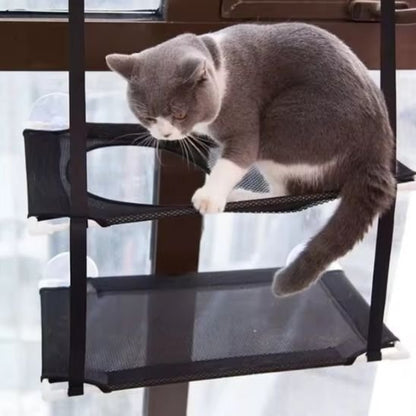 Hamac chat fenêtre | SunSpot - Mondechat