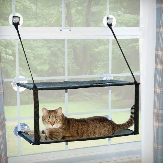 Hamac chat fenêtre SunSpot : le confort ensoleillé pour votre félin - Mondechat