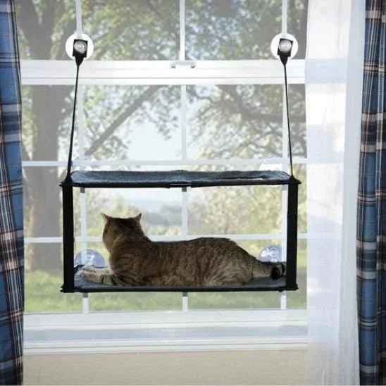 Hamac chat fenêtre SunSpot : le confort ensoleillé pour votre félin - Mondechat