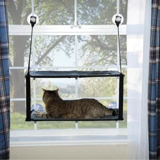 Hamac chat fenêtre SunSpot : le confort ensoleillé pour votre félin - Mondechat
