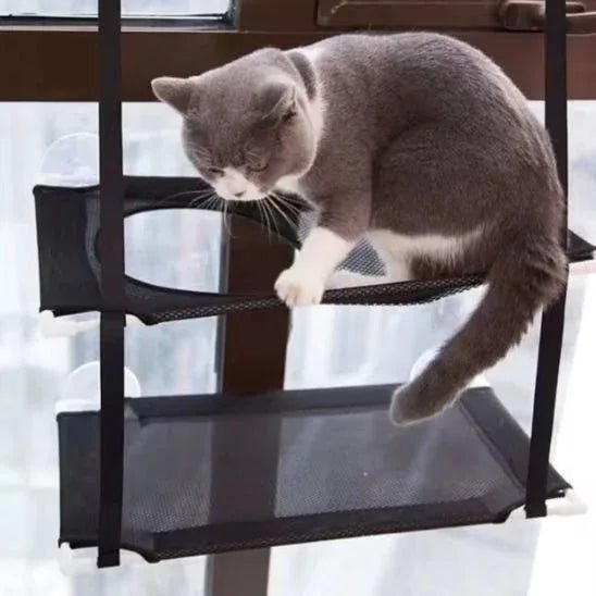 Hamac chat fenêtre SunSpot : le confort ensoleillé pour votre félin - Mondechat