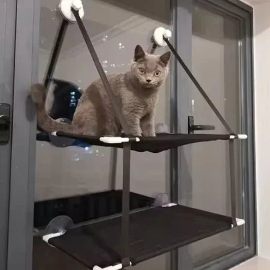 Hamac chat fenêtre SunSpot : le confort ensoleillé pour votre félin - Mondechat