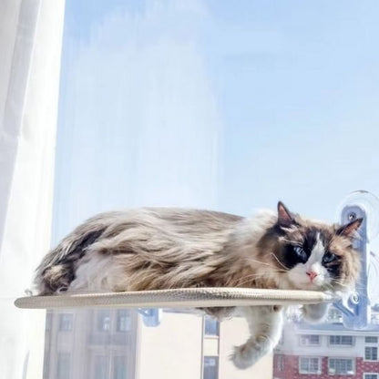 Hamac chat fenetre | UltraConfort - Mondechat