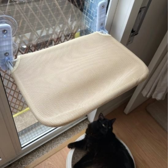 Hamac chat fenetre | UltraConfort - Mondechat