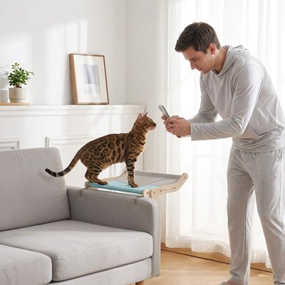 Hamac pour Chat | Confort Optimal - Mondechat