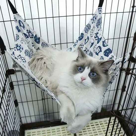 Hamac pour chat confort Royal - Le confort ultime pour votre félin - Mondechat