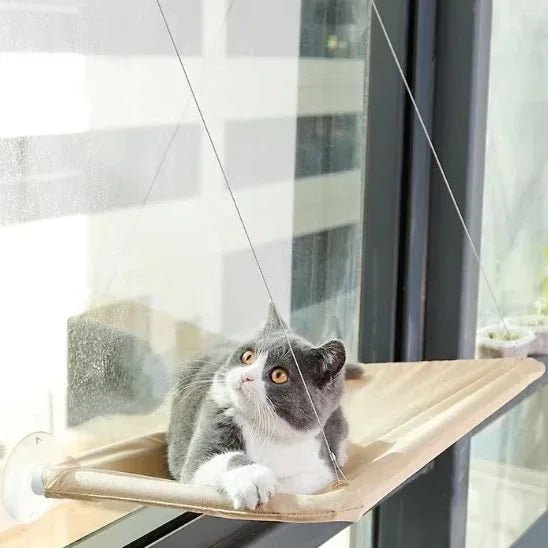 Hamac pour chat fenêtres | Confort Premium et bien - être optimal - Mondechat