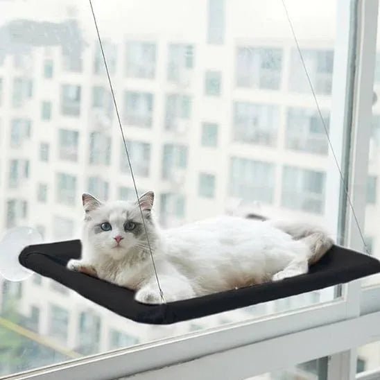 Hamac pour chat fenêtres | Confort Premium et bien - être optimal - Mondechat