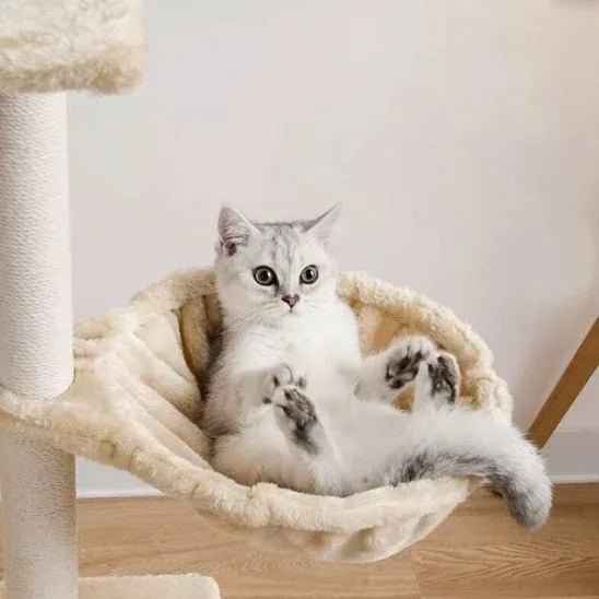 Hamac pour chat SunWatcher : le coin préféré de votre chat au soleil - Mondechat