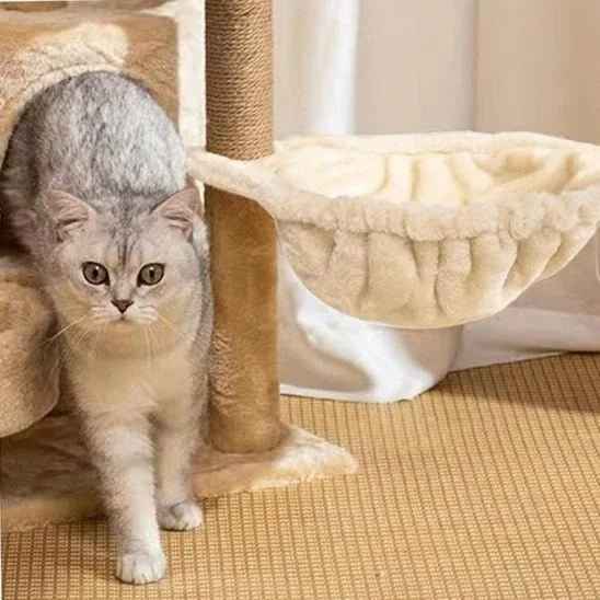 Hamac pour chat SunWatcher : le coin préféré de votre chat au soleil - Mondechat