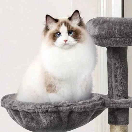 Hamac pour chat SunWatcher : le coin préféré de votre chat au soleil - Mondechat