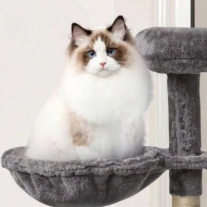 Hamac pour chat SunWatcher : le meilleur hamac pour chat au soleil pour des moments de détente incroyables - Mondechat