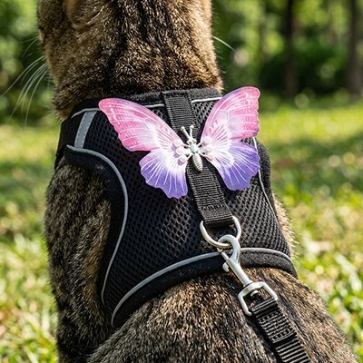 Harnais Chat | Anti-Évasion + Laisse Assortie Incluse - Mondechat