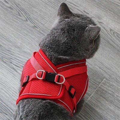 Harnais + Laisse Chat | Ajustable Confort - Mondechat - Mondechat