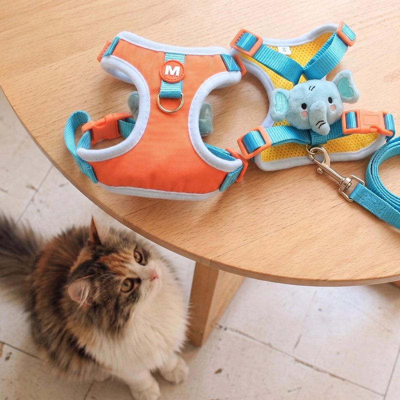 Harnais + Laisse Chat | Peluche Décorative Mesh Respirant - Mondechat