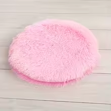 Coussin Chat Ultra-Confortable | Mémoire de Forme Moelleux