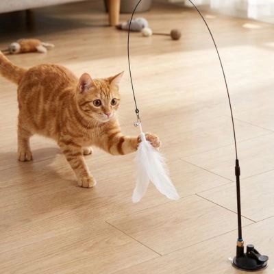 Jeu pour Chat | Canne à Plumes Ventouse Interactif - Mondechat