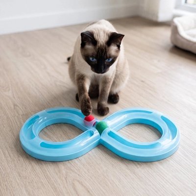 Jeu pour Chat | Circuit en Huit Interactif & Anti-Ennui - Mondechat