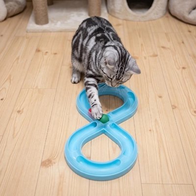 Jeu pour Chat | Circuit en Huit Interactif & Anti-Ennui - Mondechat