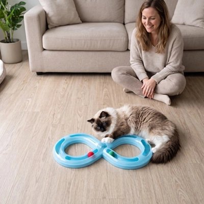 Jeu pour Chat | Circuit en Huit Interactif & Anti-Ennui - Mondechat