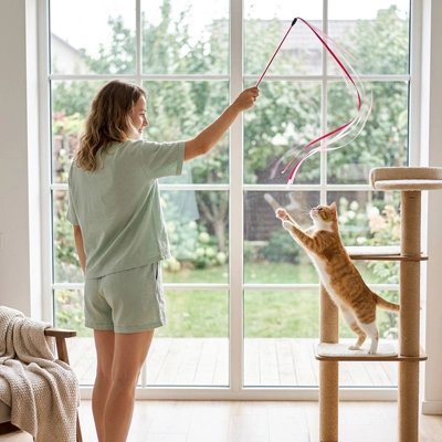 Jouet Chat | Instinct - Mondechat