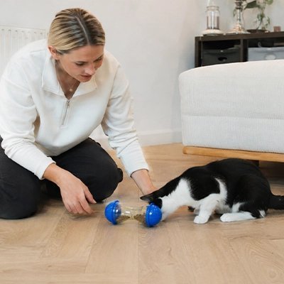 Jouet Chat | Instinct Chasseur - Mondechat