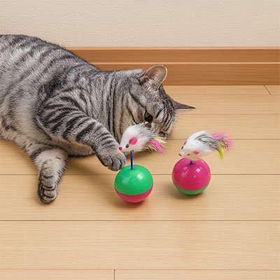 Jouet chat | Interactif - Mondechat