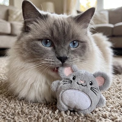 Jouet Chat | Souris Peluche Interactive - Mondechat
