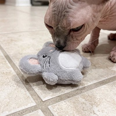 Jouet Chat | Souris Peluche Interactive - Mondechat
