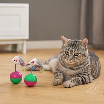 Jouet Culbuto Souris pour Chat | Interactif Premium - Mondechat