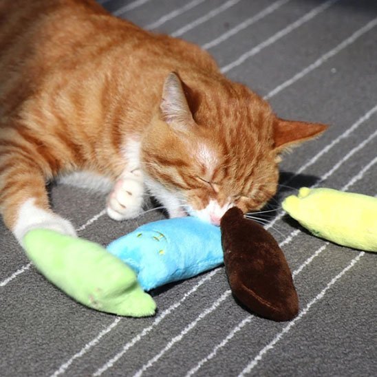 Jouet Herbe à Chat | Stimulation Naturelle - Mondechat