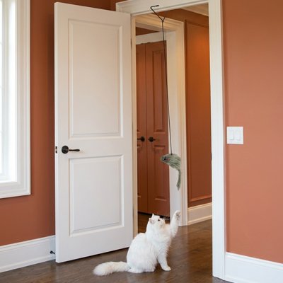 Jouet pour Chat | Interactif - Mondechat