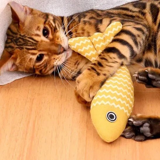 Jouet pour chat | Interactif - Mondechat