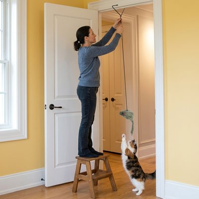 Jouet pour Chat | Interactif - Mondechat