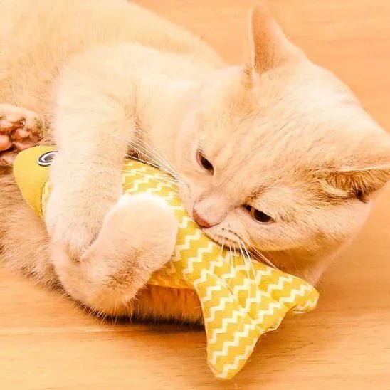 Jouet pour chat | Interactif - Mondechat