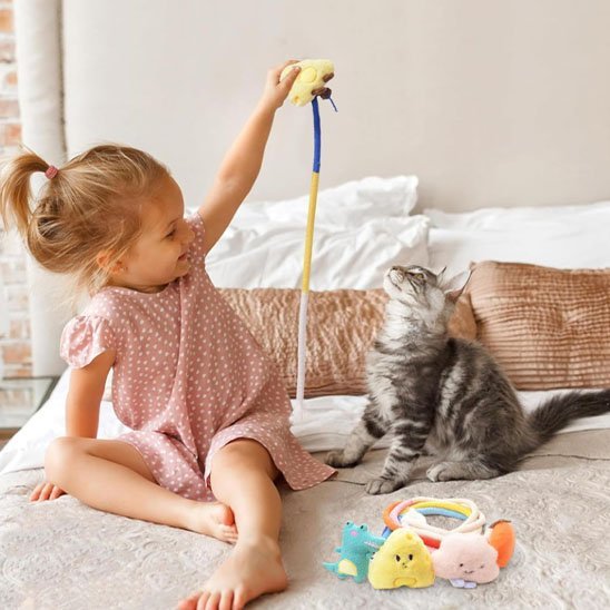 Jouet pour chat | Interactif Félin - Mondechat