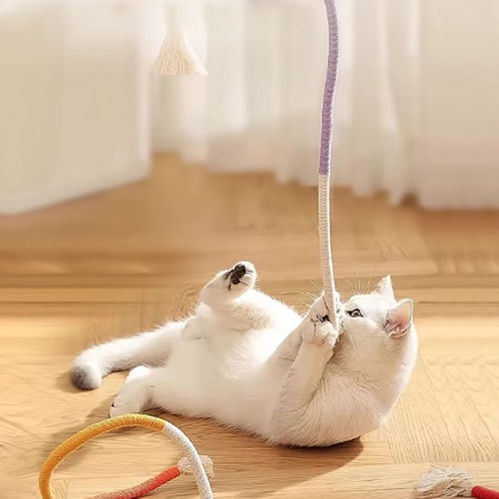 Jouet pour chat | Interactif Félin - Mondechat