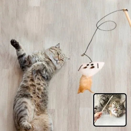 Jouet pour chat interactif | FélinPlay - Mondechat