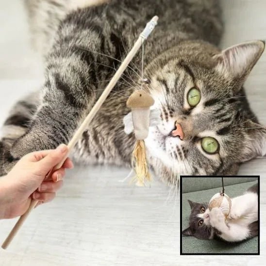 Jouet pour chat interactif | FélinPlay - Mondechat