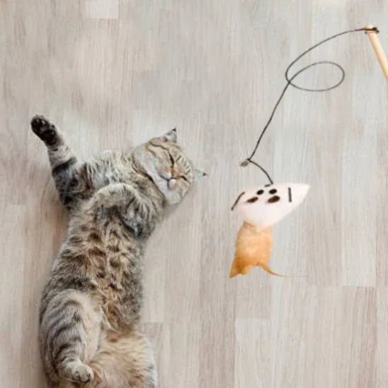 Jouet pour chat interactif | FélinPlay - Mondechat