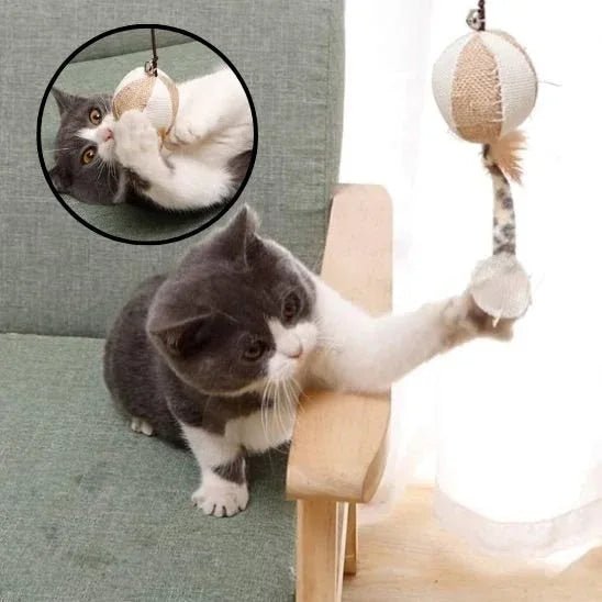 Jouet pour chat interactif | FélinPlay - Mondechat