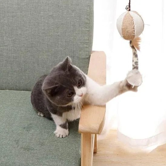 Jouet pour chat interactif | FélinPlay - Mondechat