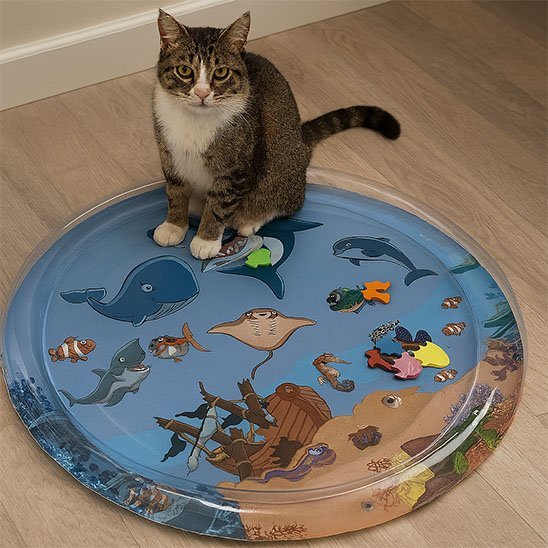 Jouet pour chat | Interactive Stimulator - Mondechat