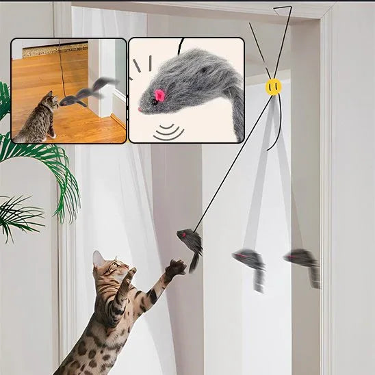 Jouet pour chat | InterCat - Mondechat