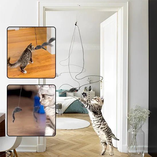 Jouet pour chat | InterCat - Mondechat