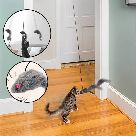 Jouet pour chat | InterCat - Mondechat