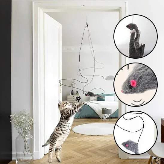 Jouet pour chat | InterCat - Mondechat