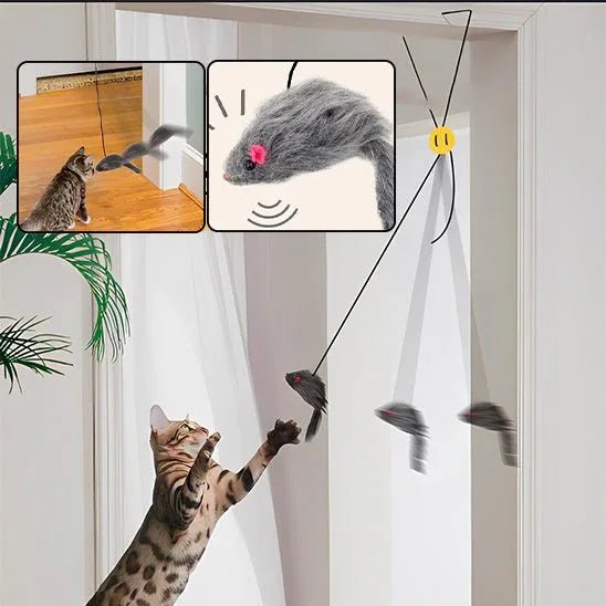 Jouet pour chat | InterCat - Mondechat