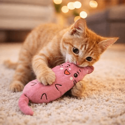 Jouet pour chat | Trois compagnons colorés — Peluches interactives - Mondechat